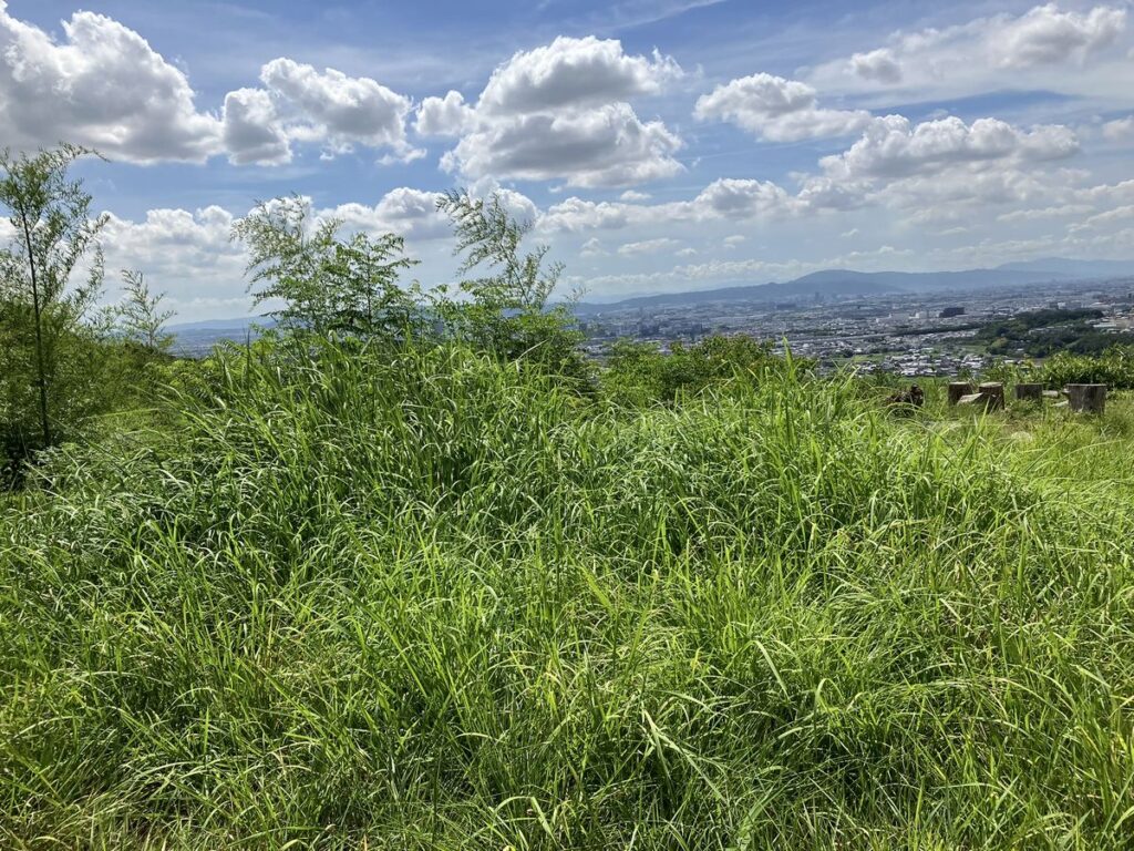 三好山250822F